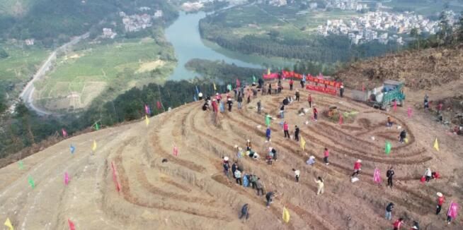 有关于蒙山县：迈出茶产业发展新步伐的新闻(2)