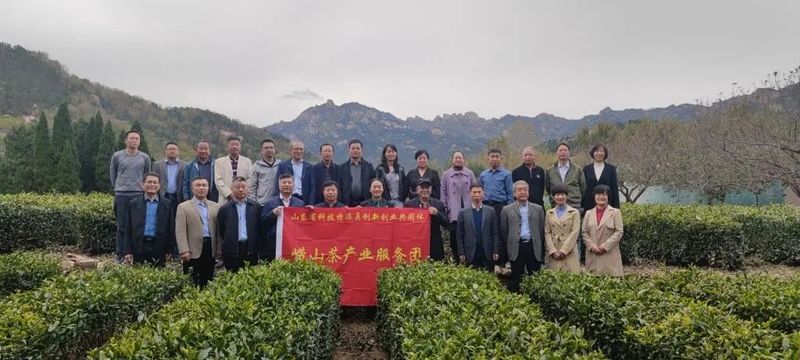 有关于青岛重奖崂山茶企及相关单位400万元的资讯(5)