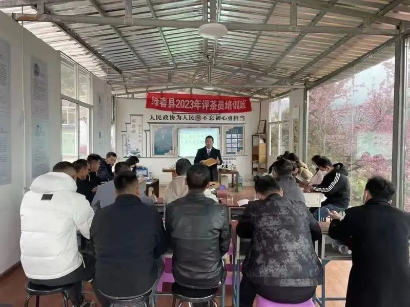 有关于绿春县：梯次育才激活茶产业“人才引擎”的资讯(6)