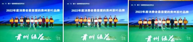 有关于乡村振兴与茶业责任，这场经济年会助力“黔茶”高质量发展的消息(14)
