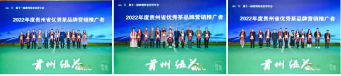 有关于乡村振兴与茶业责任，这场经济年会助力“黔茶”高质量发展的消息(13)