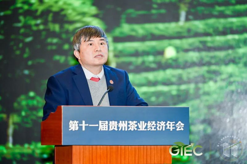 有关于乡村振兴与茶业责任，这场经济年会助力“黔茶”高质量发展的消息(6)