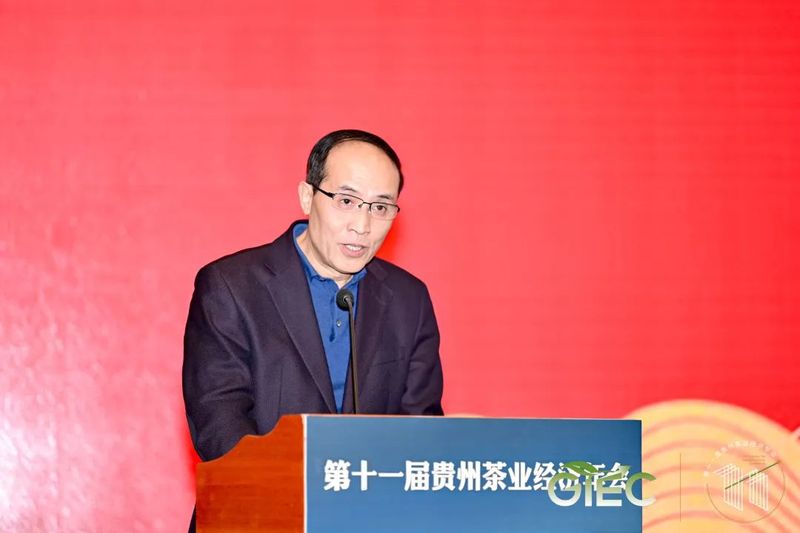有关于乡村振兴与茶业责任，这场经济年会助力“黔茶”高质量发展的消息(4)