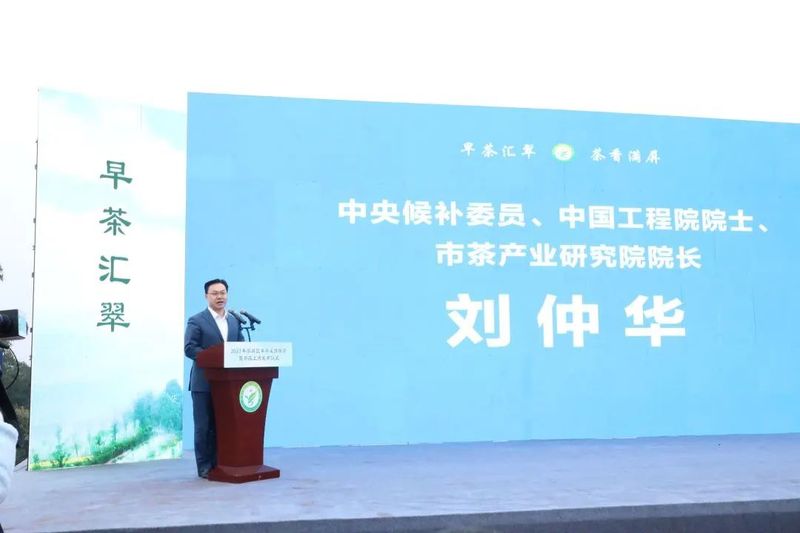 关于川茶集团的相关内容(3)
