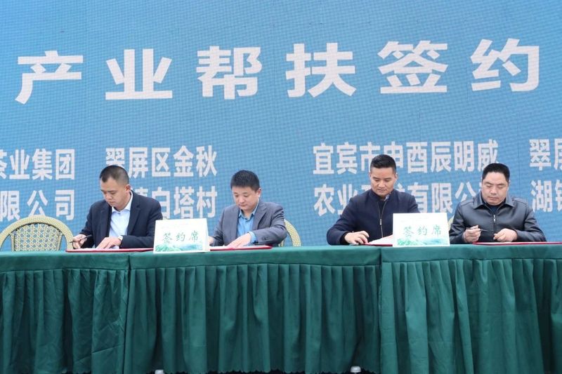 关于川茶集团的相关内容(2)