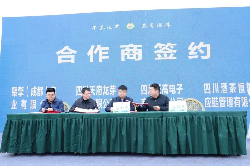 关于川茶集团的相关内容(1)
