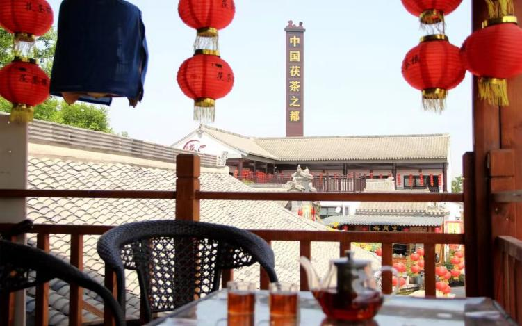有关于寻茶咸阳，只此青绿，点亮茶旅融合的“诗与远方”的新闻(3)