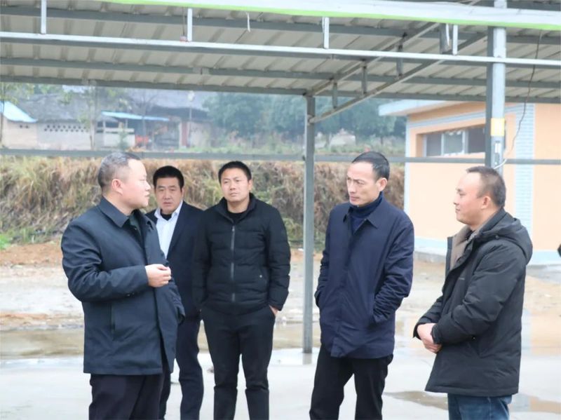有关于游来勇到花山苗族乡调研万亩茶叶产业示范带的内容(5)