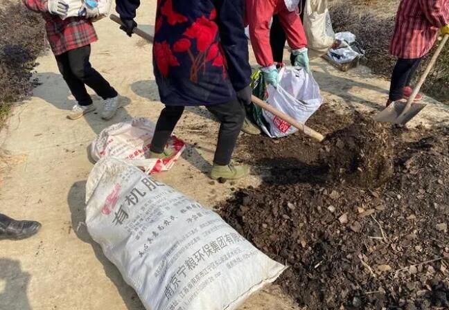 关于走进全国“一村一品”示范村桥李茶园的相关信息