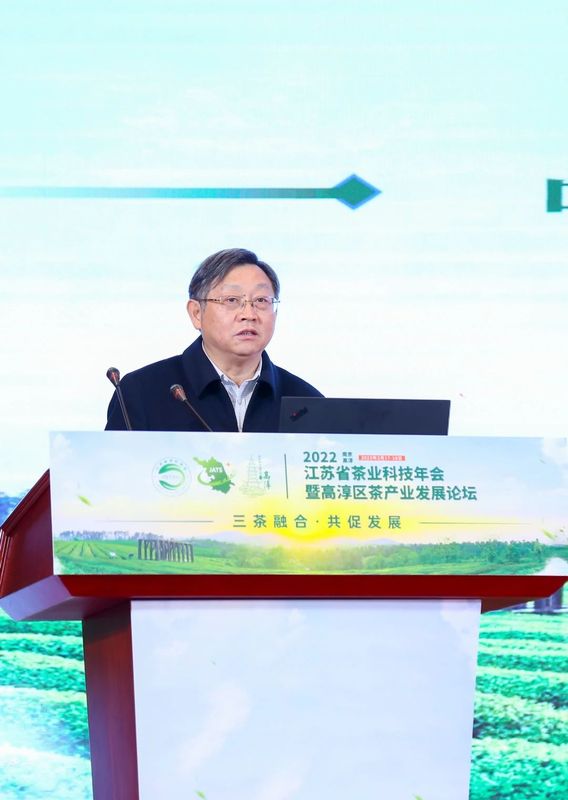 关于2022年江苏省茶业科技年会暨高淳区茶产业发展论坛在南京高淳召开的新闻(17)