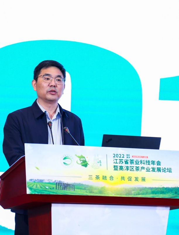 关于2022年江苏省茶业科技年会暨高淳区茶产业发展论坛在南京高淳召开的新闻(19)