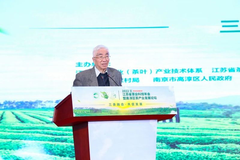 关于2022年江苏省茶业科技年会暨高淳区茶产业发展论坛在南京高淳召开的新闻(16)