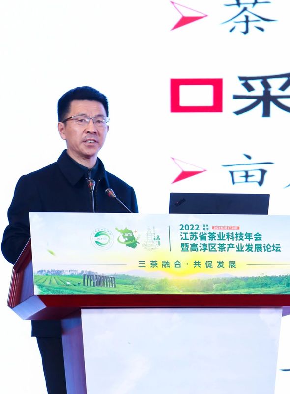 关于2022年江苏省茶业科技年会暨高淳区茶产业发展论坛在南京高淳召开的新闻(18)