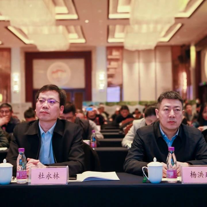 关于2022年江苏省茶业科技年会暨高淳区茶产业发展论坛在南京高淳召开的新闻(4)