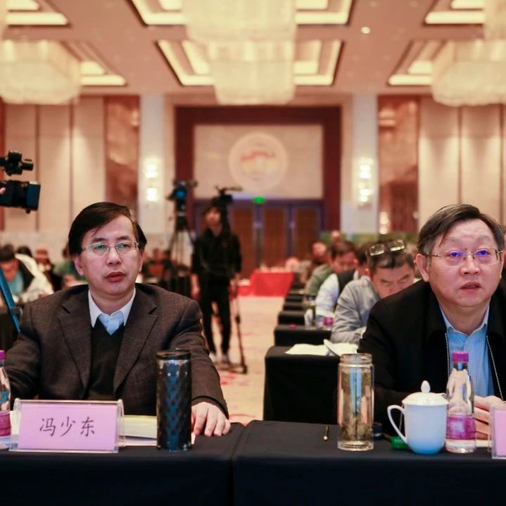 关于2022年江苏省茶业科技年会暨高淳区茶产业发展论坛在南京高淳召开的新闻(3)