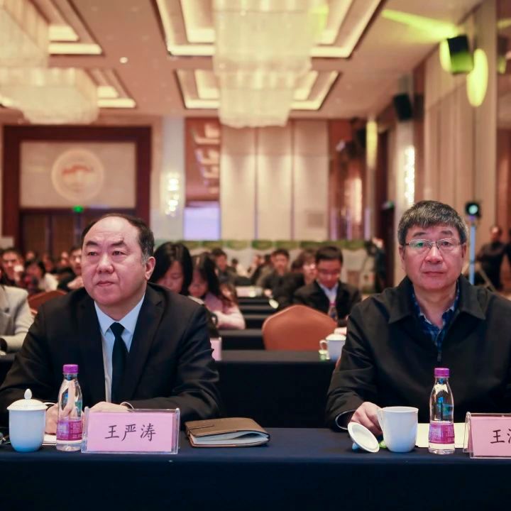 关于2022年江苏省茶业科技年会暨高淳区茶产业发展论坛在南京高淳召开的新闻(6)
