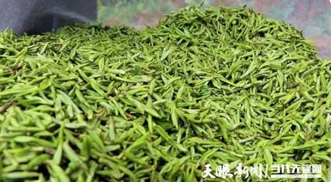 关于普安县高棉乡:万亩茶园全面开采 茶叶采摘销售忙的相关内容(2)