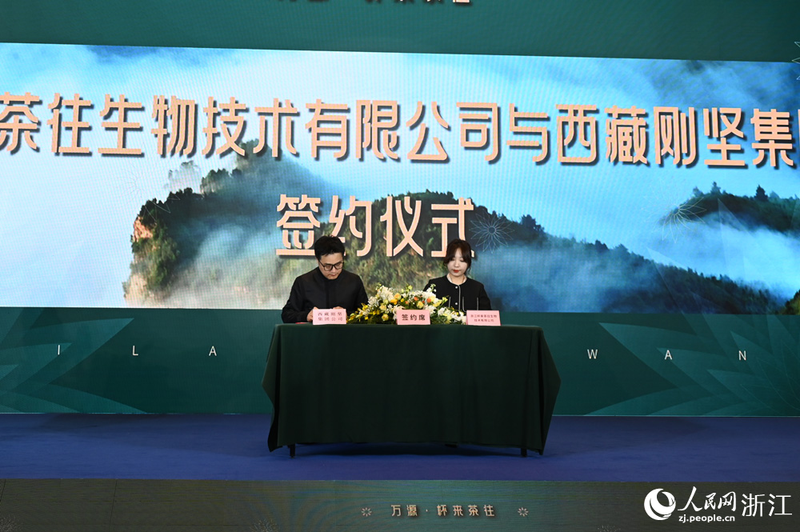 关于科技赋能茶产业 浙川协作谱新篇的最新消息(2)