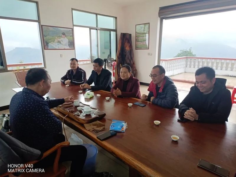 有关于福建尤溪县坂面镇主要领导开展茶产业发展调研的最新消息(1)