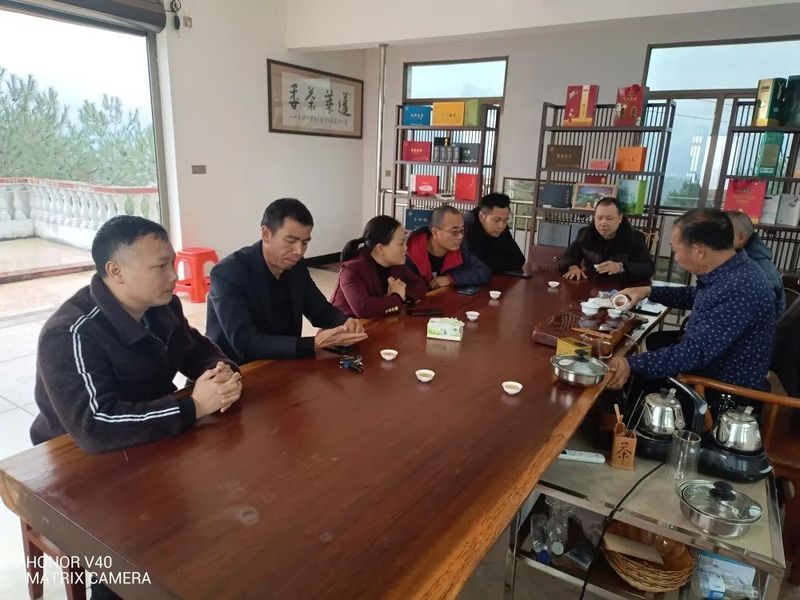 有关于福建尤溪县坂面镇主要领导开展茶产业发展调研的最新消息