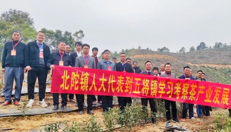 有关于北陀镇:开展联合视察调研 共谋茶产业发展之路的信息