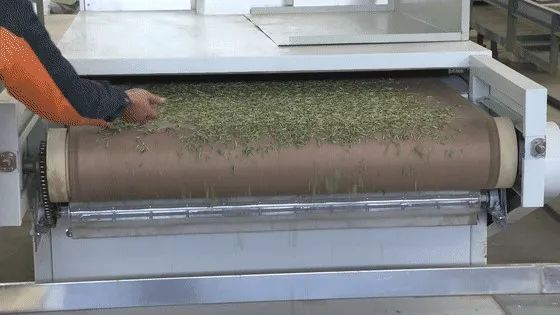 关于早茶节刚结束，茶商排起轮子采购筠连早茶的相关内容(5)