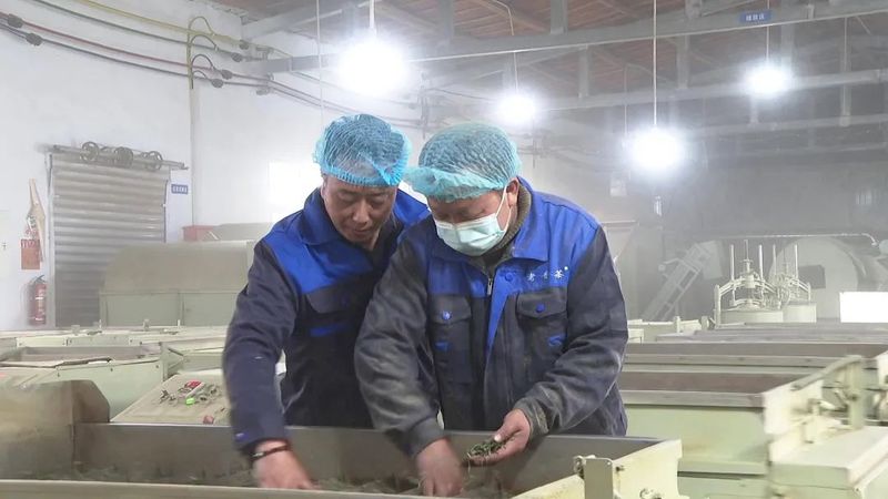 关于早茶节刚结束，茶商排起轮子采购筠连早茶的相关内容