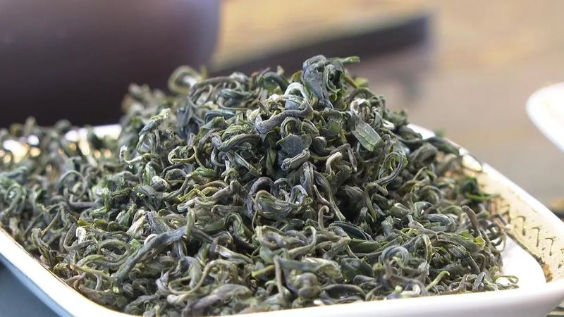 关于早茶节刚结束，茶商排起轮子采购筠连早茶的相关内容(1)
