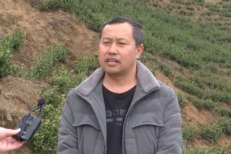 关于兴仁市新龙场：筑巢引凤兴产业 千亩茶园助振兴的新闻(2)