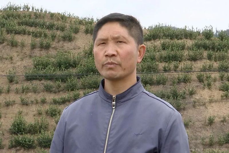 关于兴仁市新龙场：筑巢引凤兴产业 千亩茶园助振兴的新闻(6)