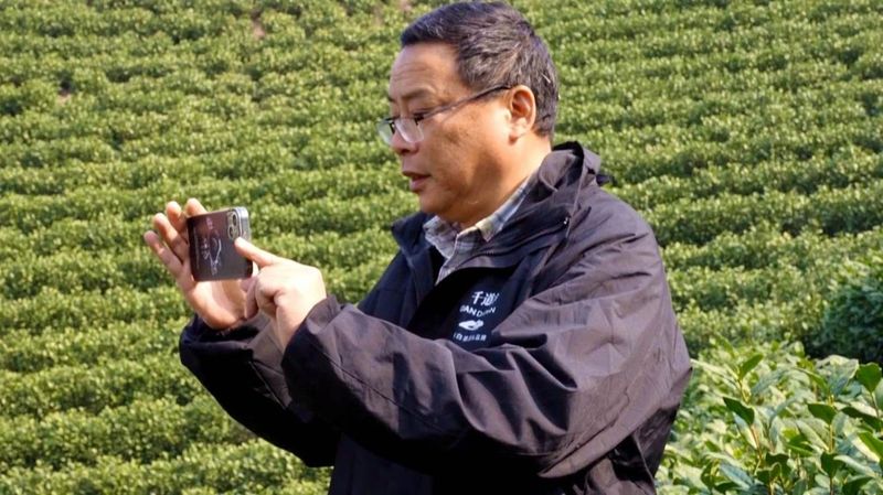 有关于计划要从安徽、河南、山东等地招募采茶工24万人的相关信息