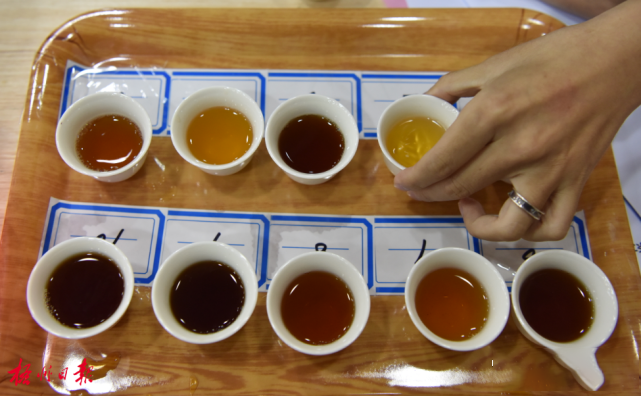有关于广西六堡茶“八新双增”关键技术研究与产业化示范项目研究课题取得实质性进展的内容