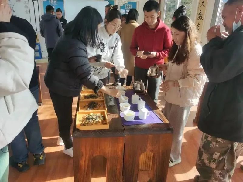 有关于绿春县开展首期评茶员培训班的相关内容(2)