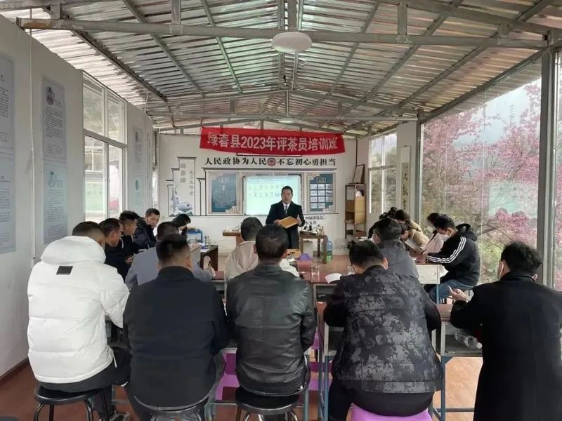 有关于绿春县开展首期评茶员培训班的相关内容