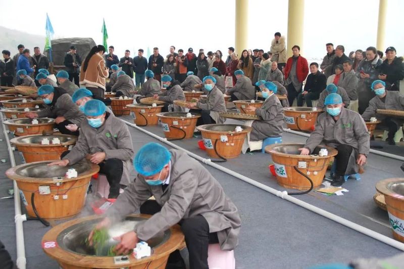 关于2023年乐山市“峨眉山茶”开采节暨手工制茶技能大赛在犍为举行的相关信息(5)
