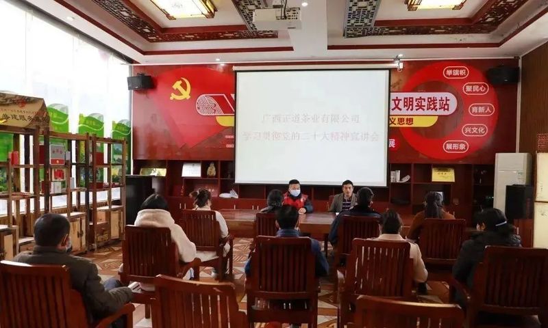 有关于凌云：发展茶产业 助力乡村振兴的新闻
