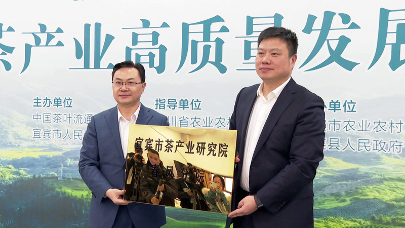 关于大咖云集！把脉宜宾茶产业高质量发展的最新消息(6)
