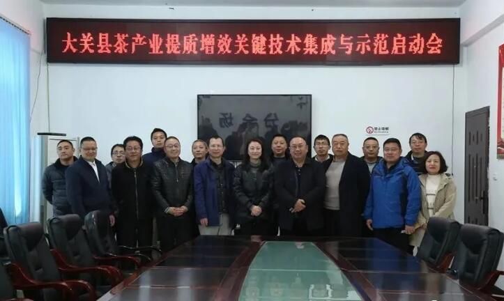 有关于专家组团助力，大关茶产业将迎来发展的春天的新闻(6)