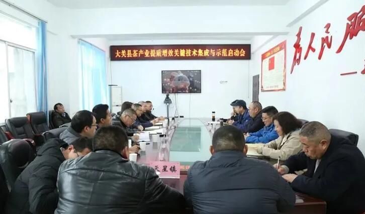有关于专家组团助力，大关茶产业将迎来发展的春天的新闻(3)