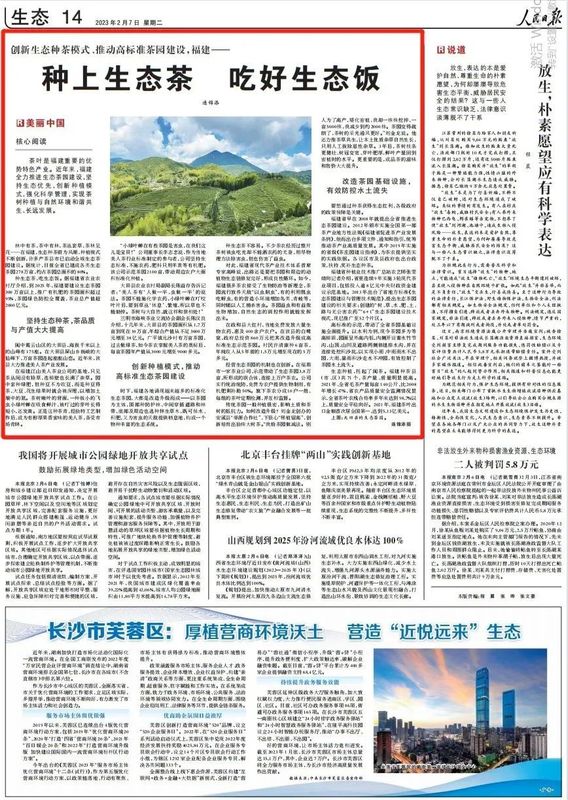 有关于人民日报点赞福建：种上生态茶 吃好生态饭的新闻