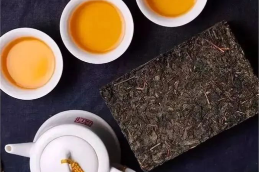 关于聚焦茶非遗！会发“金花”的茶如何制作？的最新消息