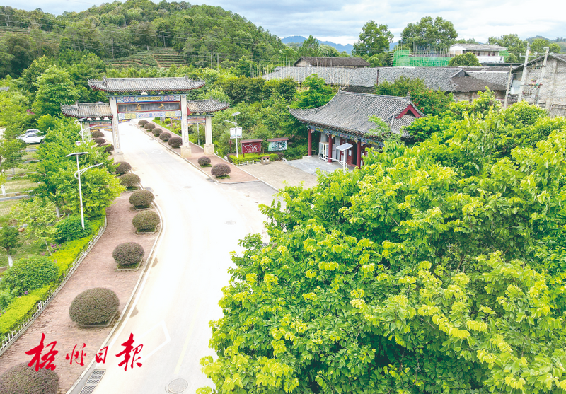 有关于“普洱市获首个茶树新品种”“2025年云茶全产业链”“贵州茶业经济年会”的内容(7)