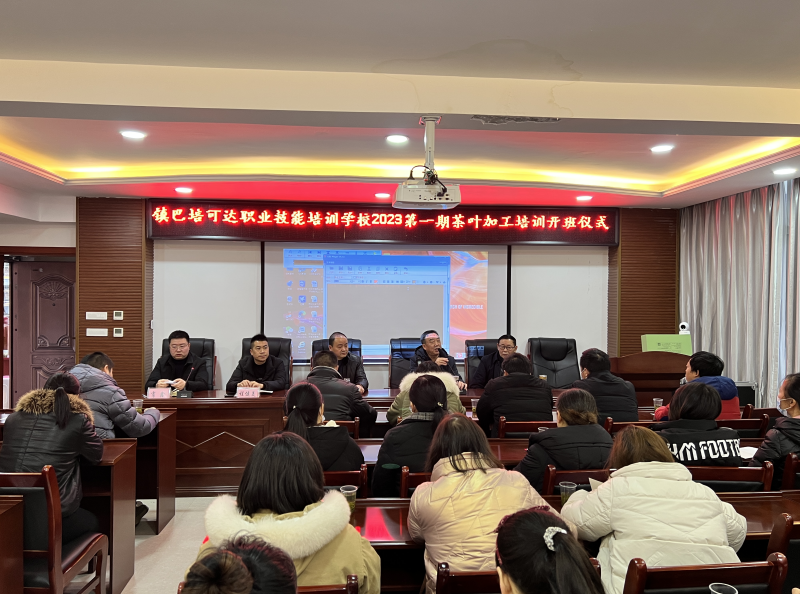 有关于镇巴开展茶叶加工技术培训 推动茶产业提质增效的信息