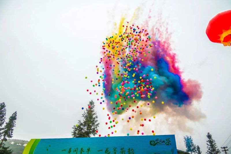 关于2023年乐山市“峨眉山茶”开采节暨手工制茶技能大赛在犍为举行的相关信息(2)