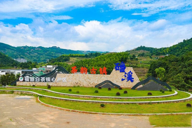 有关于福鼎:传承茶文化,擦亮“金名片”的新闻(3)