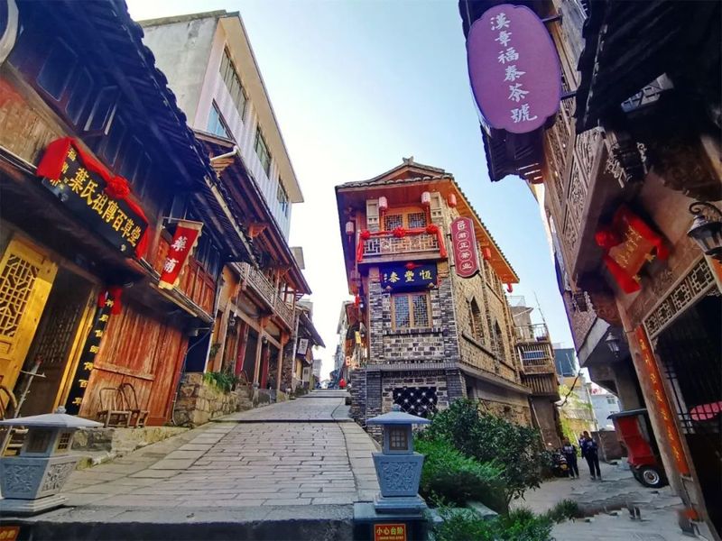 有关于福鼎:传承茶文化,擦亮“金名片”的新闻(4)