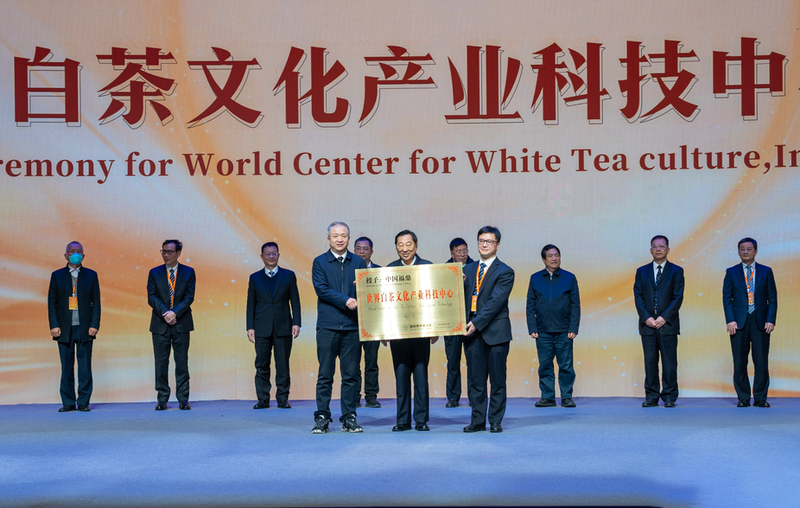 有关于福鼎:传承茶文化,擦亮“金名片”的新闻(1)