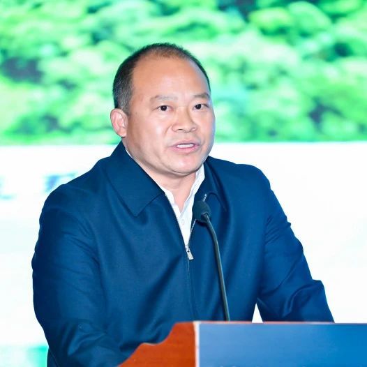 有关于贵州茶产值突破600亿元,开启中国茶业的贵州时代的新闻(8)