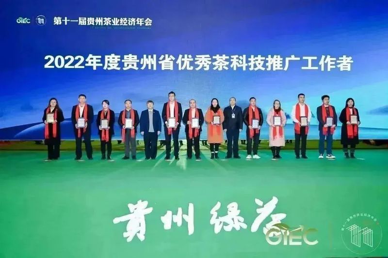 有关于贵州茶产值突破600亿元,开启中国茶业的贵州时代的新闻(14)