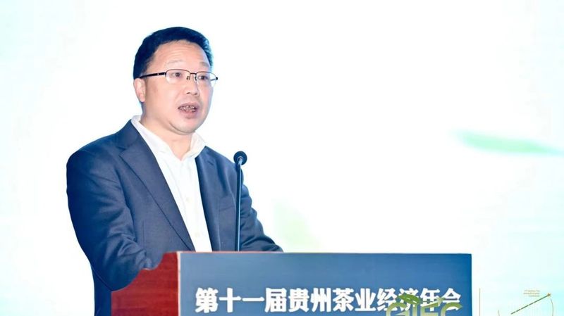 有关于贵州茶产值突破600亿元,开启中国茶业的贵州时代的新闻(11)